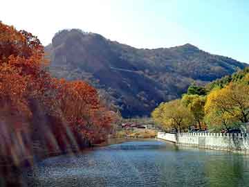 澳门天天好好免费资料，四川日报广告部电话